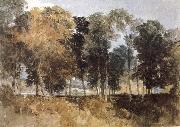 Forest Joseph Mallord William Turner